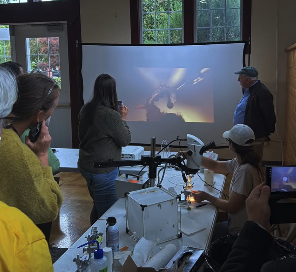 The instrumental insemination workshop at Ensminger Pavilion during the 2026 Local COLOSS North America Conference in Pullman, WA (June 9, 2026). 